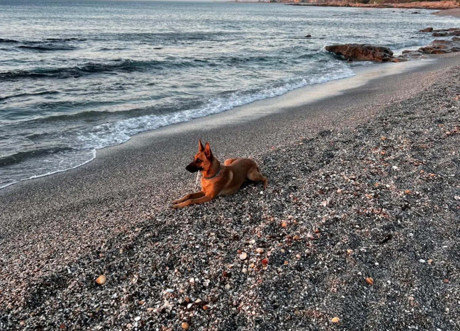 Skon Lejlighed Med Havudsigt Og Taet Pa Stranden Torreguadiaro 0*,  Ισπανία